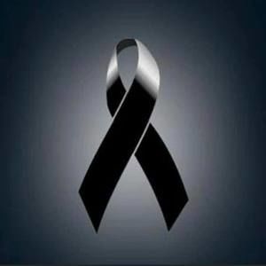 Meet your Posher, Daisy